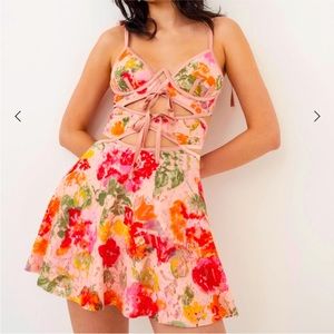 For Love And Lemons Floral Pink Dress